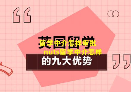 留学中介怎样审批 nuts留学中介怎样